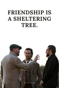 Friendship is a sheltering tree.