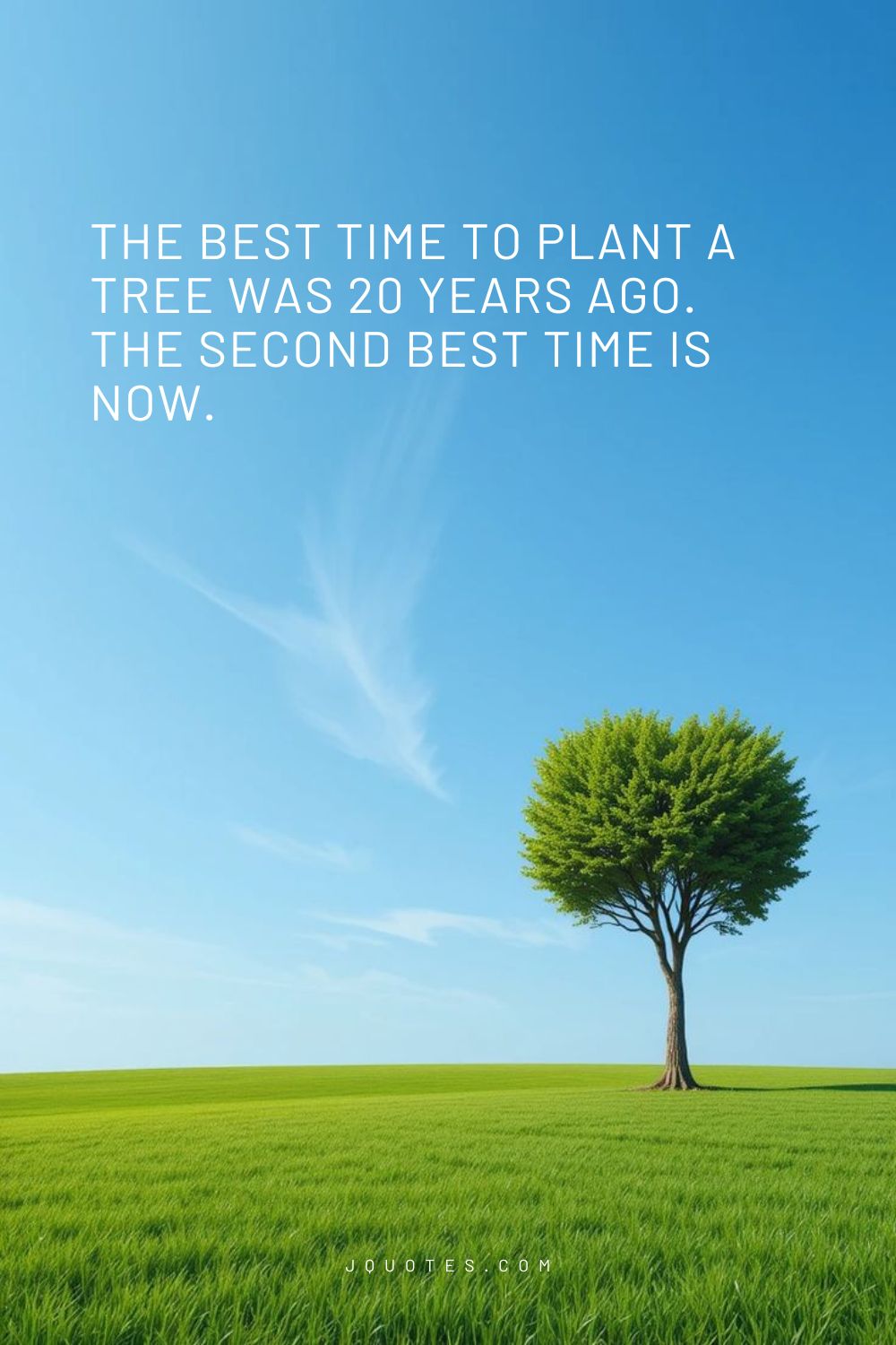 20 Positive Motivational Quotes to Inspire Your Day jQuotes.com The best time to plant a tree was 20 years ago. The second best time is now.