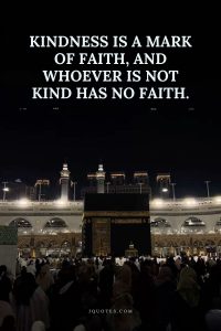 Kindness is a mark of faith, and whoever is not kind has no faith.
